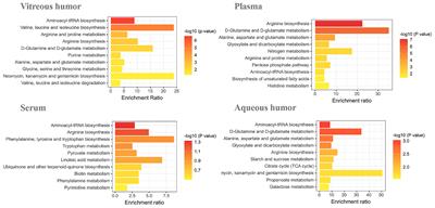 A Hypothesis From Metabolomics Analysis of Diabetic Retinopathy: Arginine-Creatine Metabolic Pathway May Be a New Treatment Strategy for Diabetic Retinopathy